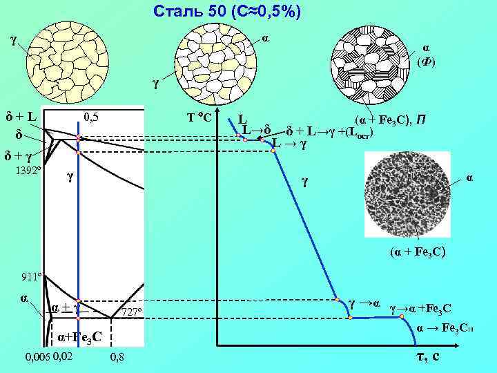 Сталь 50 (С≈0, 5%) α γ α (Ф) γ δ+L δ T C 0,