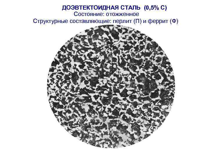 ДОЭВТЕКТОИДНАЯ СТАЛЬ (0, 5% С) Состояние: отожженное Структурные составляющие: перлит (П) и феррит (Ф)