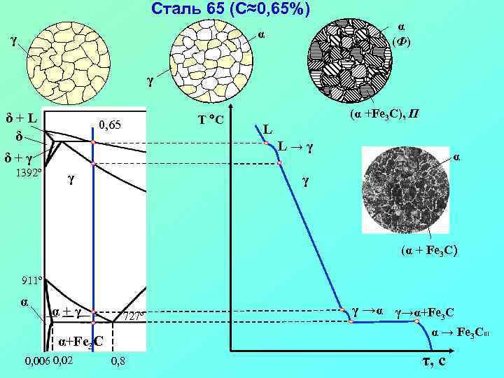 Сталь 65 (С≈0, 65%) α (Ф) α γ γ δ+L δ T C 0,