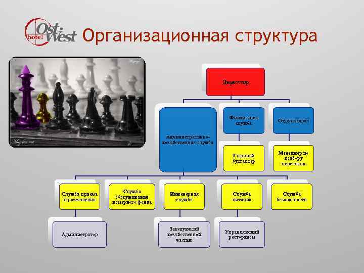 Организационная структура Директор Финансовая служба Отдел кадров Главный бухгалтер Менеджер по подбору персонала Административнохозяйственная