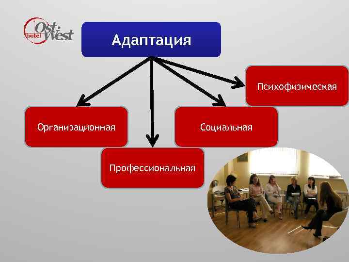 Адаптация Психофизическая Организационная Профессиональная Социальная 