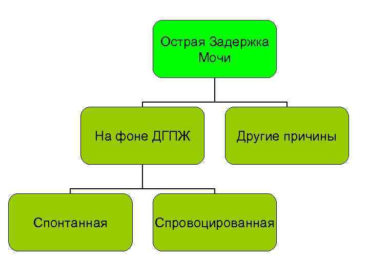 Острая Задержка Мочи На фоне ДГПЖ Спонтанная Другие причины Спровоцированная 