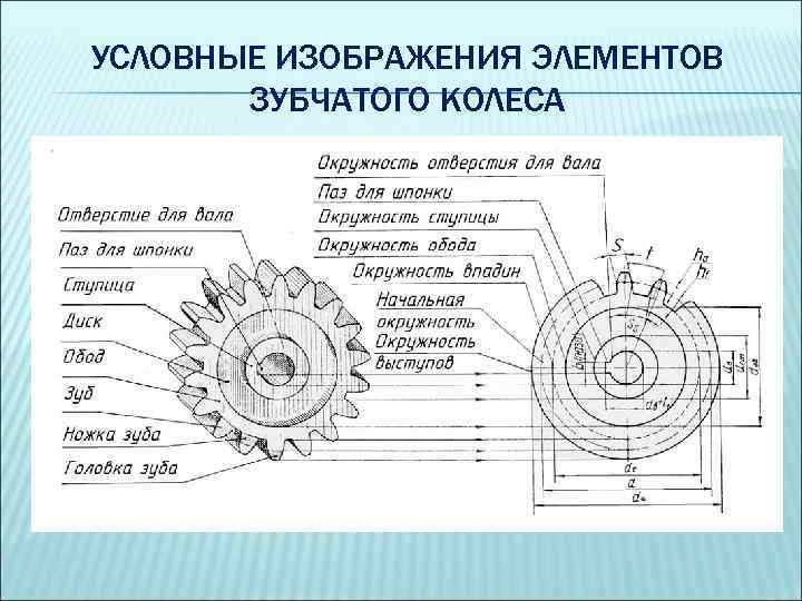 УСЛОВНЫЕ ИЗОБРАЖЕНИЯ ЭЛЕМЕНТОВ ЗУБЧАТОГО КОЛЕСА 