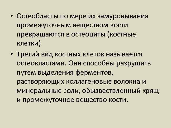  • Остеобласты по мере их замуровывания промежуточным веществом кости превращаются в остеоциты (костные