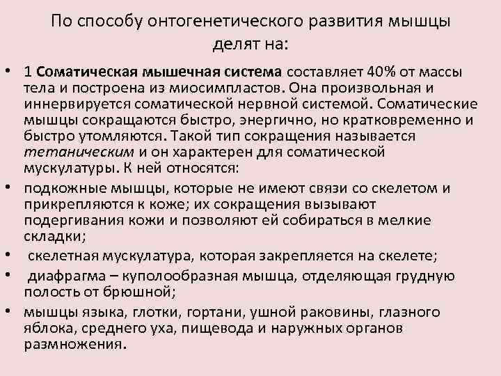 По способу онтогенетического развития мышцы делят на: • 1 Соматическая мышечная система составляет 40%