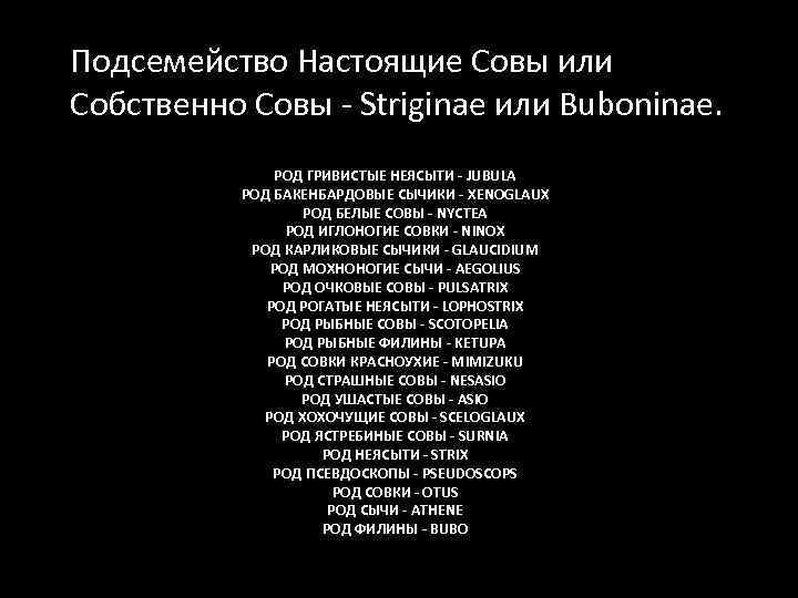 Подсемейство Настоящие Совы или Собственно Совы - Striginae или Buboninae. РОД ГРИВИСТЫЕ НЕЯСЫТИ -