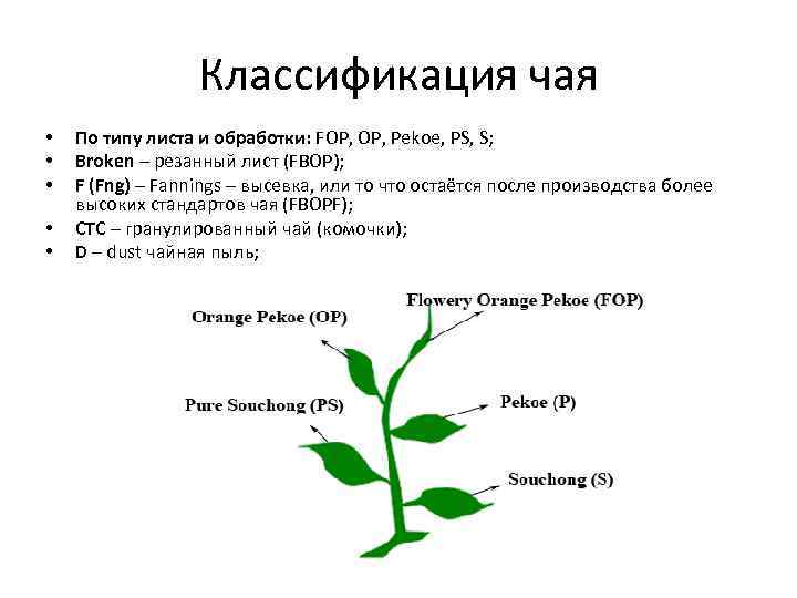 Производство чая бизнес план