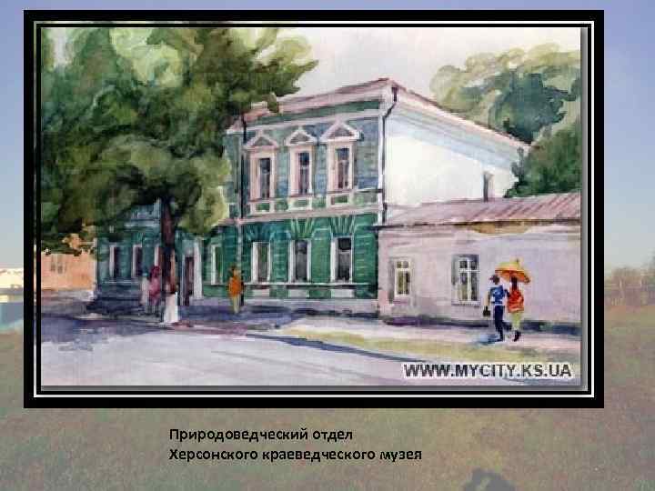 Природоведческий отдел Херсонского краеведческого музея 