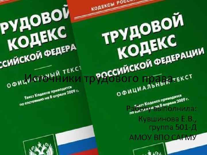 Источники трудового права. Работу выполнила: Кувшинова Е. В. , группа 501 Д АМОУ ВПО