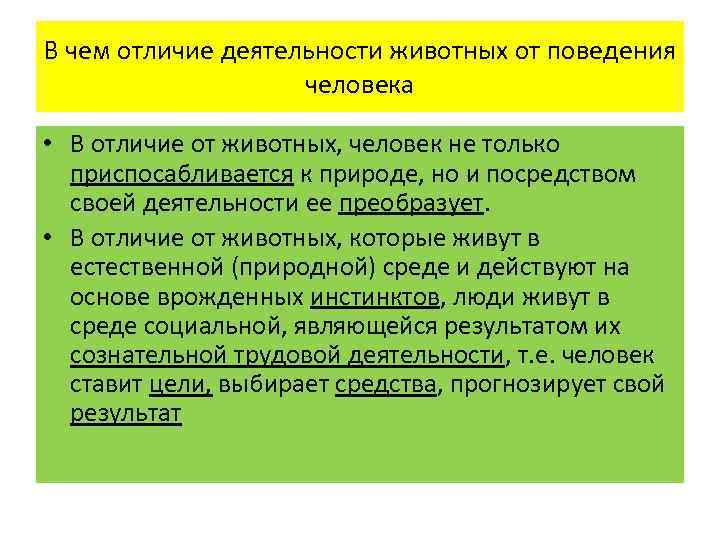 Чем деятельность отличается от работы