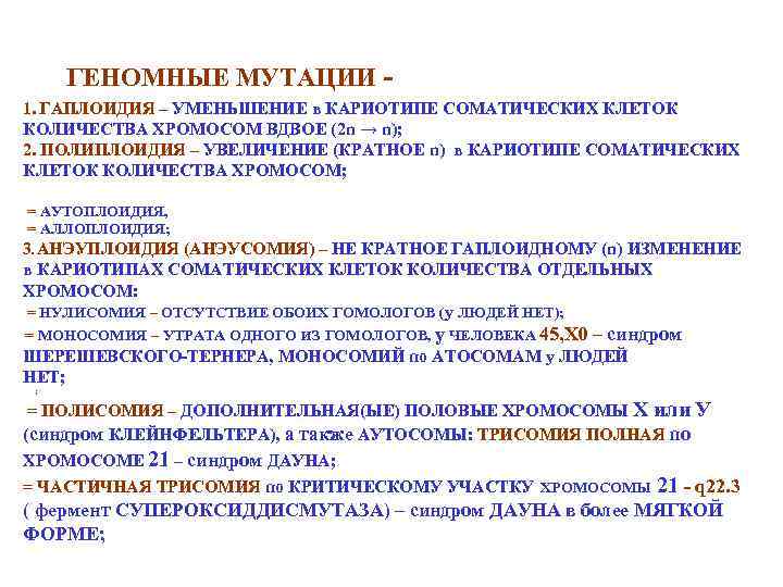 ГЕНОМНЫЕ МУТАЦИИ 1. ГАПЛОИДИЯ – УМЕНЬШЕНИЕ в КАРИОТИПЕ СОМАТИЧЕСКИХ КЛЕТОК КОЛИЧЕСТВА ХРОМОСОМ ВДВОЕ (2