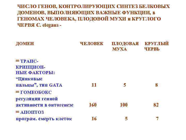 ЧИСЛО ГЕНОВ, КОНТРОЛИРУЮЩИХ СИНТЕЗ БЕЛКОВЫХ ДОМЕНОВ, ВЫПОЛНЯЮЩИХ ВАЖНЫЕ ФУНКЦИИ, в ГЕНОМАХ ЧЕЛОВЕКА, ПЛОДОВОЙ МУХИ