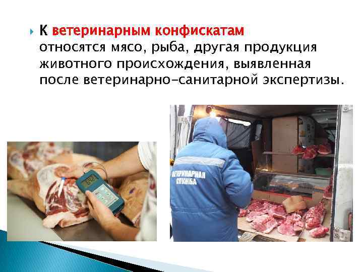  К ветеринарным конфискатам относятся мясо, рыба, другая продукция животного происхождения, выявленная после ветеринарно-санитарной