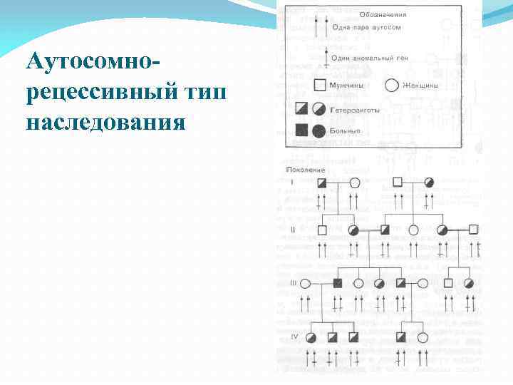 Аутосомнорецессивный тип наследования 