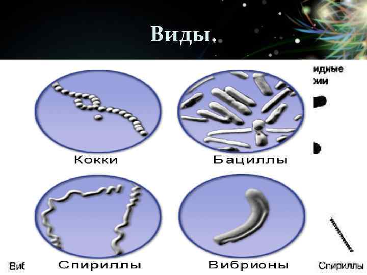 Виды. 