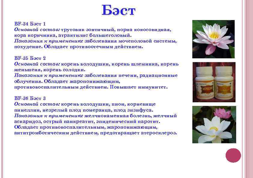 Бэст BF-34 Бэст 1 Основной состав: трутовик зонтичный, пориа кокосовидная, кора коричника, атрактилис большеголовый.