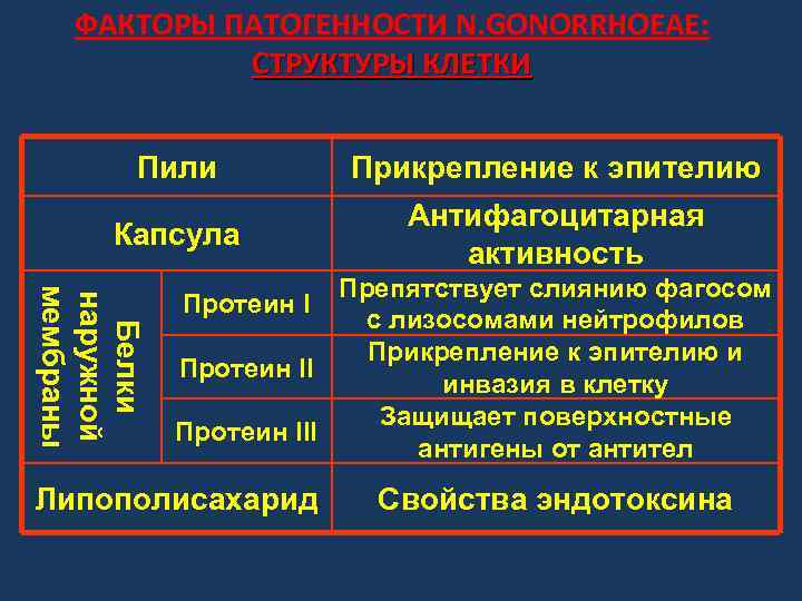 ФАКТОРЫ ПАТОГЕННОСТИ N. GONORRHOEAE: СТРУКТУРЫ КЛЕТКИ Пили Прикрепление к эпителию Капсула Антифагоцитарная активность Белки