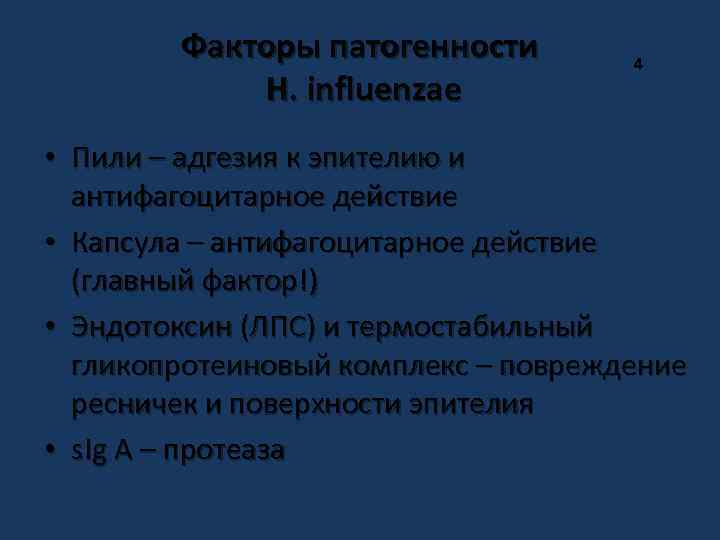 Факторы патогенности H. influenzae 4 • Пили – адгезия к эпителию и антифагоцитарное действие