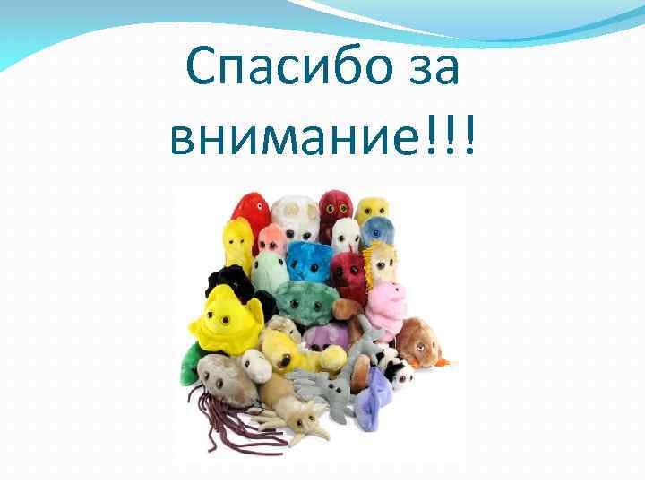 Спасибо за внимание!!! 