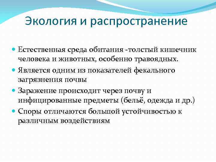 Экология и распространение Естественная среда обитания -толстый кишечник человека и животных, особенно травоядных. Является