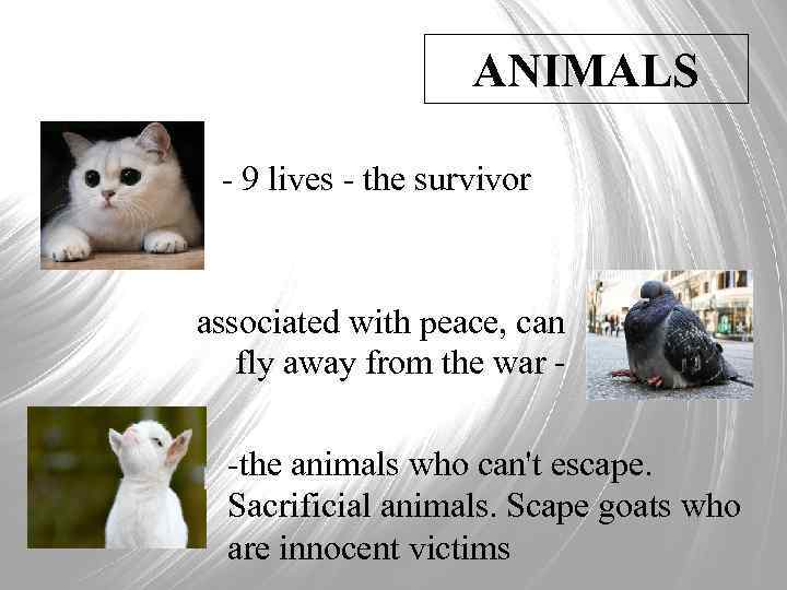 ANIMALS - 9 lives - the survivor associated with peace, can fly away from