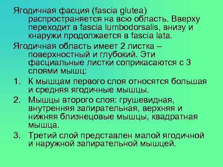 Ягодичная фасция (fascia glutea) распространяется на всю область. Вверху переходит в fascia lumbodorsalis, внизу
