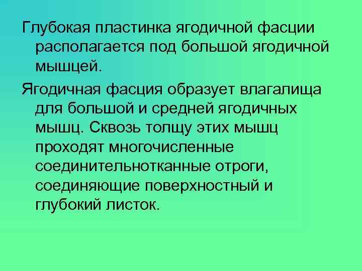 Глубокая пластинка ягодичной фасции располагается под большой ягодичной мышцей. Ягодичная фасция образует влагалища для