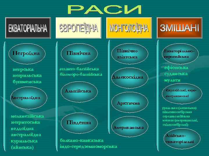 Негроїдна негрська негрильська бушменська Північно азіатська Північна атланто-балтійська біломоро-балтійська Далекосхідна американські Австралоїдна Арктична Південна