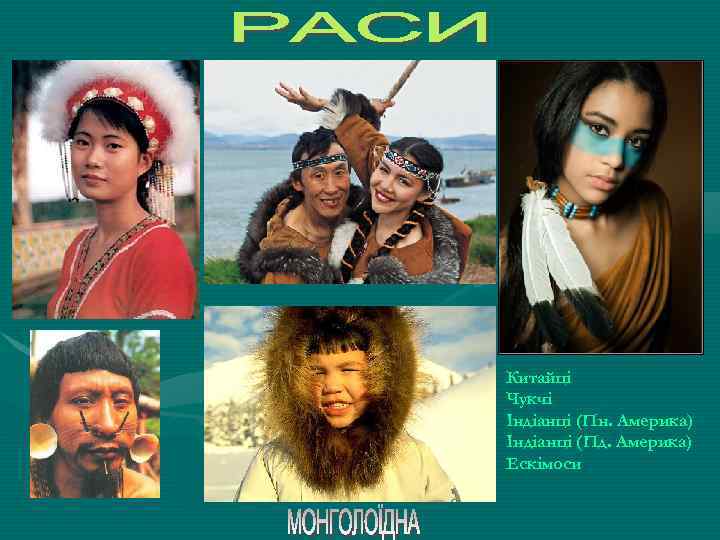 Китайці Чукчі Індіанці (Пн. Америка) Індіанці (Пд. Америка) Ескімоси 