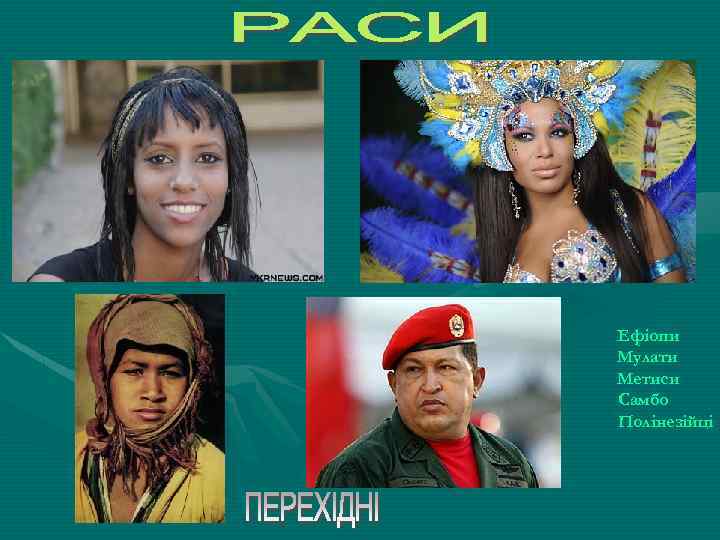 Ефіопи Мулати Метиси Самбо Полінезійці 