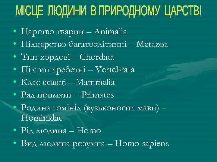  • • Царство тварин – Animalia Підцарство багатоклітинні – Metazoa Тип хордові –