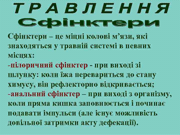 Сфінктери – це міцні колові м’язи, які знаходяться у травній системі в певних місцях:
