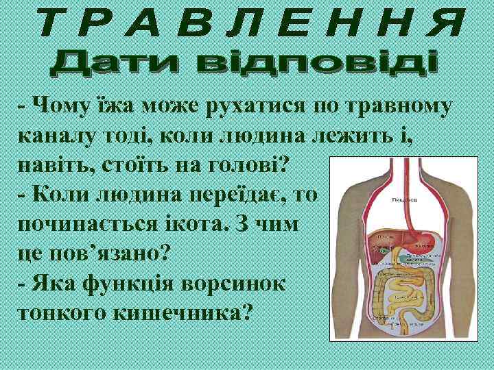 - Чому їжа може рухатися по травному каналу тоді, коли людина лежить і, навіть,