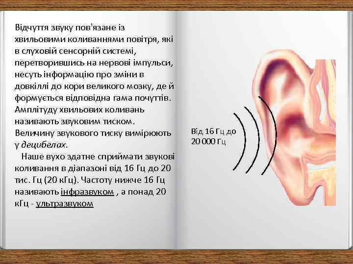 Відчуття звуку пов'язане із хвильовими коливаннями повітря, які в слуховій сенсорній системі, перетворившись на