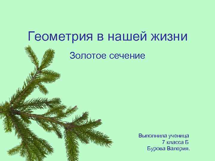 Геометрия в нашей жизни Золотое сечение Выполнила ученица 7 класса Б Бурова Валерия. 