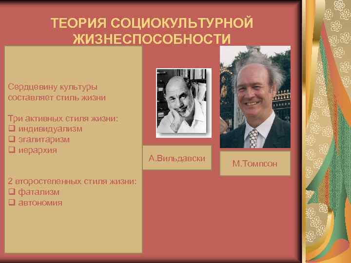 ТЕОРИЯ СОЦИОКУЛЬТУРНОЙ ЖИЗНЕСПОСОБНОСТИ Сердцевину культуры составляет стиль жизни Три активных стиля жизни: q индивидуализм