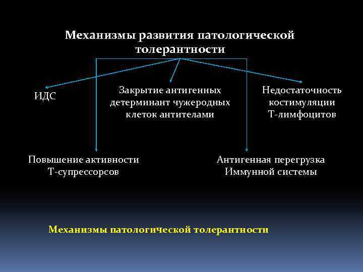 Механизмы развития патологической толерантности ИДС Закрытие антигенных детерминант чужеродных клеток антителами Повышение активности Т-супрессорсов