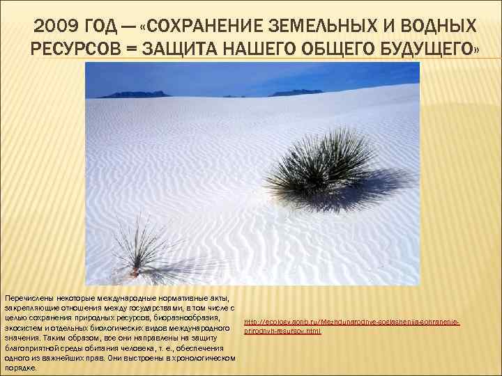 2009 ГОД — «СОХРАНЕНИЕ ЗЕМЕЛЬНЫХ И ВОДНЫХ РЕСУРСОВ = ЗАЩИТА НАШЕГО ОБЩЕГО БУДУЩЕГО» Перечислены