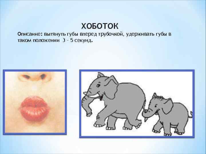 ХОБОТОК Описание: вытянуть губы вперед трубочкой, удерживать губы в таком положении 3 – 5