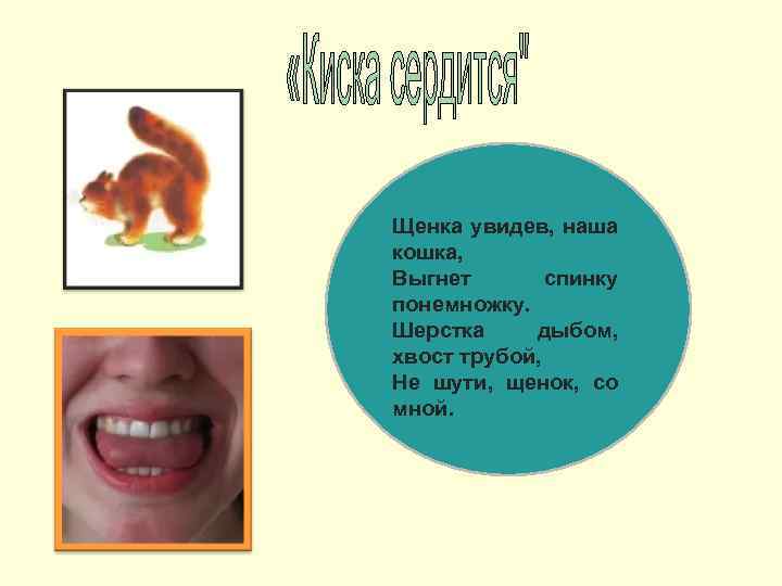 Щенка увидев, наша кошка, Выгнет спинку понемножку. Шерстка дыбом, хвост трубой, Не шути, щенок,