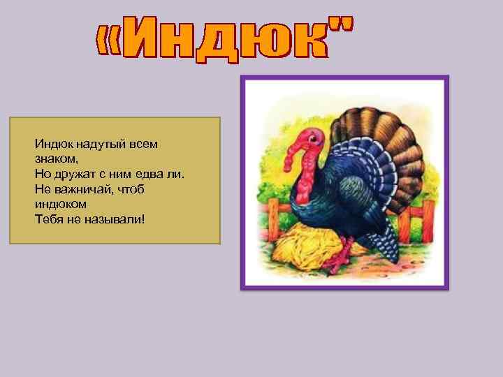 Индюк надутый всем знаком, Но дружат с ним едва ли. Не важничай, чтоб индюком