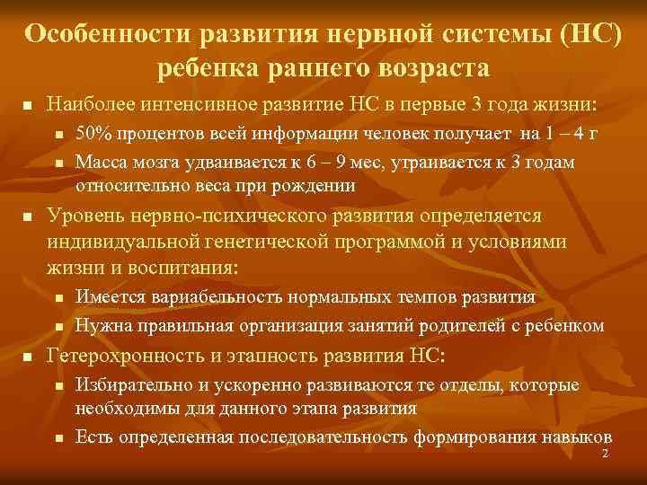 Особенности развития нервной системы (НС) ребенка раннего возраста n Наиболее интенсивное развитие НС в