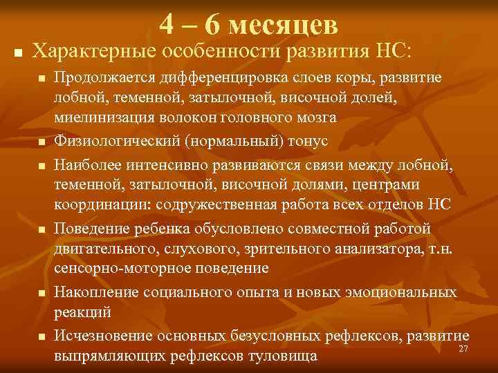 4 – 6 месяцев n Характерные особенности развития НС: n n n Продолжается дифференцировка