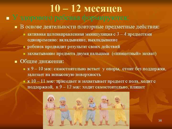 10 – 12 месяцев n У здорового ребенка формируются: n В основе деятельности повторные