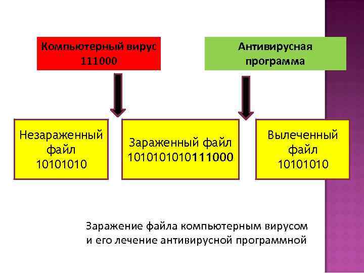 Компьютерный вирус 111000 Незараженный файл 1010 Зараженный файл 101010111000 Антивирусная программа Вылеченный файл 1010