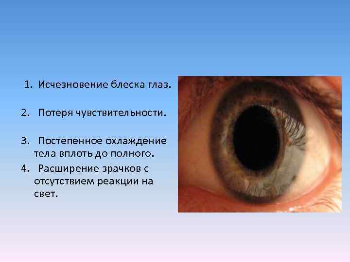 1. Исчезновение блеска глаз. 2. Потеря чувствительности. 3. Постепенное охлаждение тела вплоть до полного.