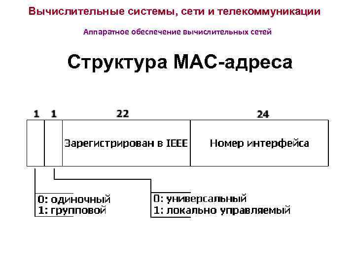 Вычислительные системы, сети и телекоммуникации Аппаратное обеспечение вычислительных сетей Структура MAC-адреса 