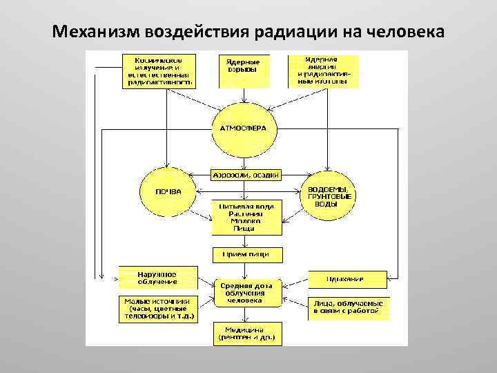 Воздействие излучения на человека. Механизм воздействия радиации. Схема влияние радиации. Механизм радиации на человека. Механизм действия радиации на организм человека.