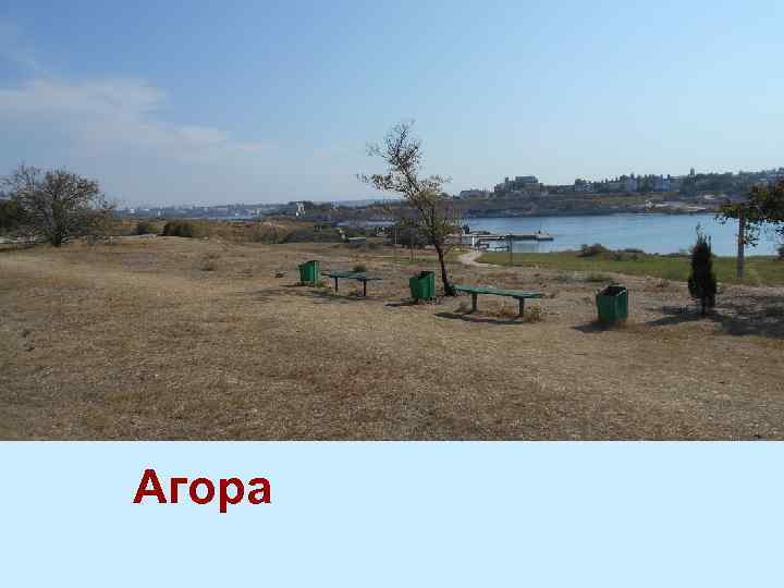 Агора 