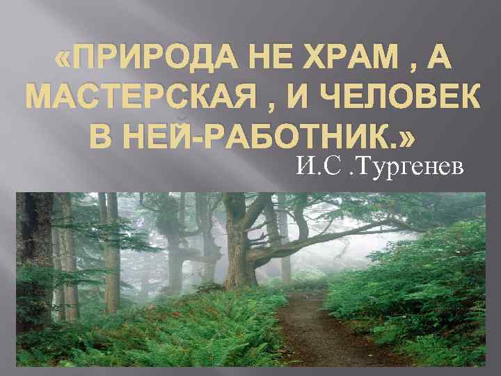 Базаров природа мастерская. Природа не храм. Природа не храм а мастерская и человек в ней работник. Природа храм или мастерская. Природа не храм а мастерская.